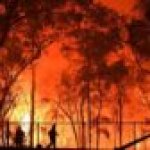 Australijskie pożary lasów to groźba katastrofy dla Sydney