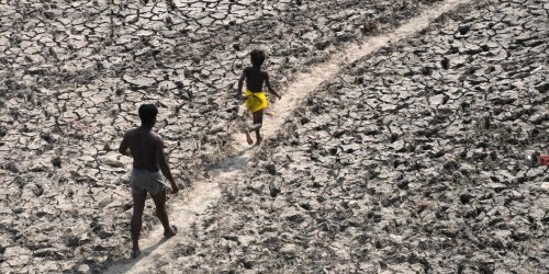 Śmiertelne upały w Indiach pogorszą kryzys żywnościowy