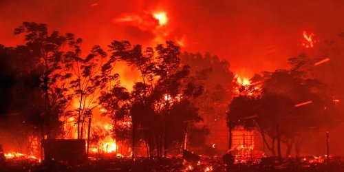 KLIMAT. Upały i pożary niszczą życie ludzi na całym świecie