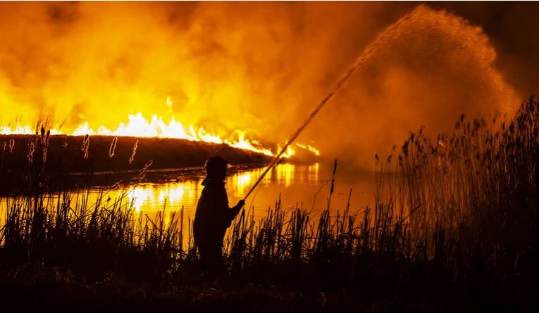 Pożar w Biebrzańskim Parku NArodowym