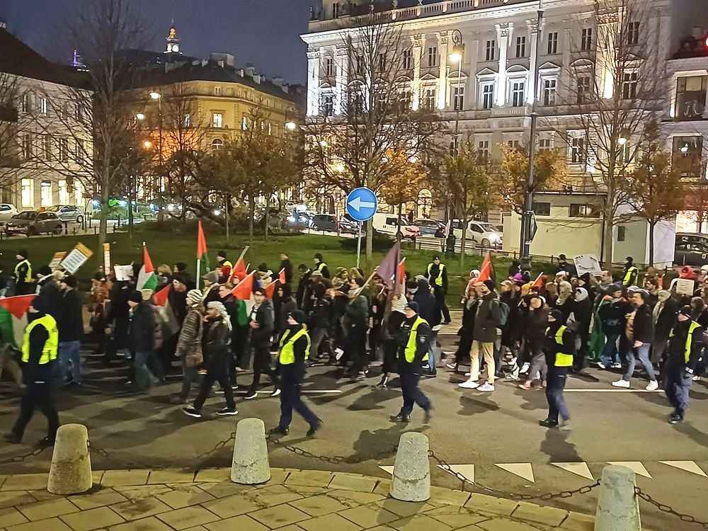 30.11.24 Warszawa. Marsz dla Palestyny.